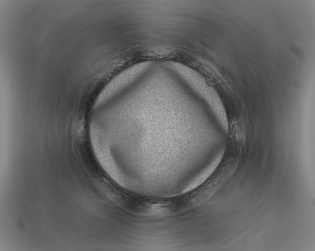 X0000113240564200910011328