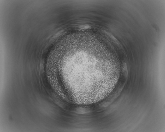 X0000113240565200910011328