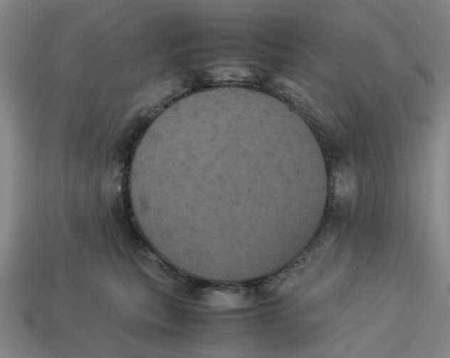 X0000113240567200910011328