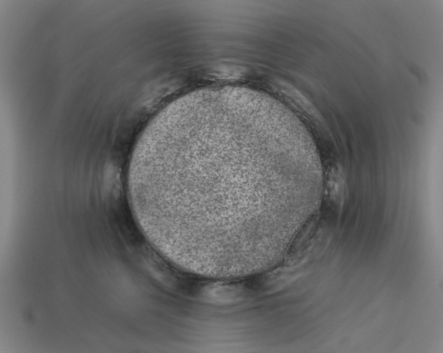 X0000113240568200910011328