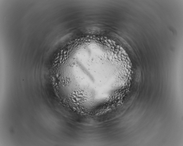 X0000113240569200910011328