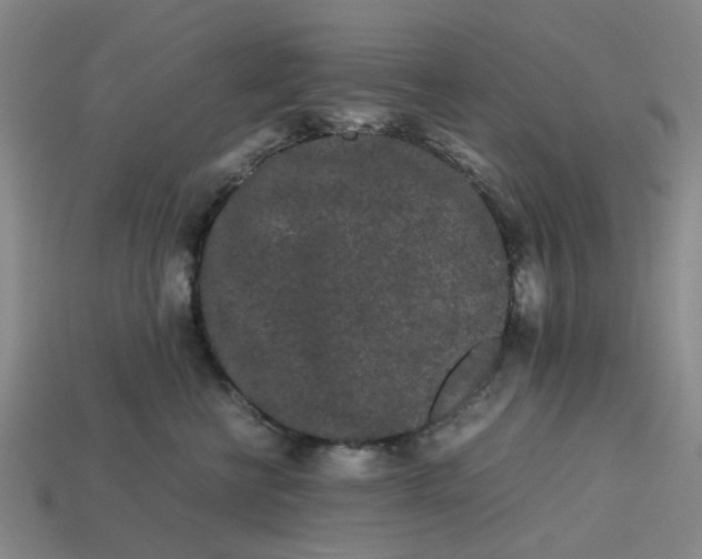 X0000113240570200910011328