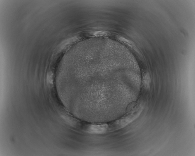 X0000113240571200910011328