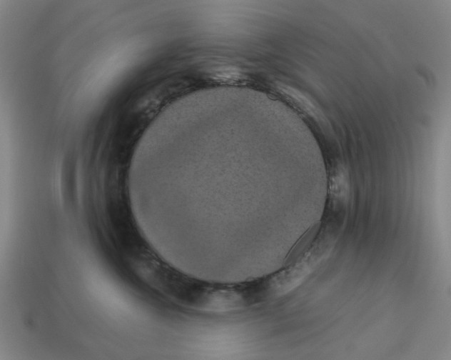 X0000113240572200910011328