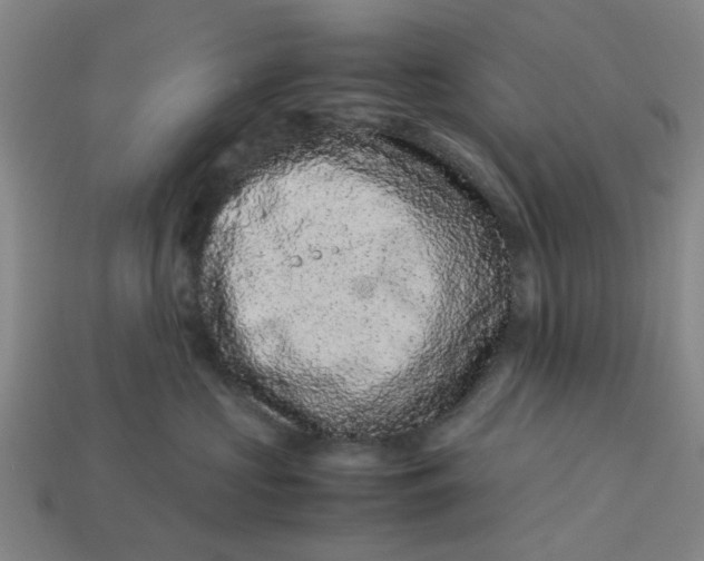 X0000113240573200910011328