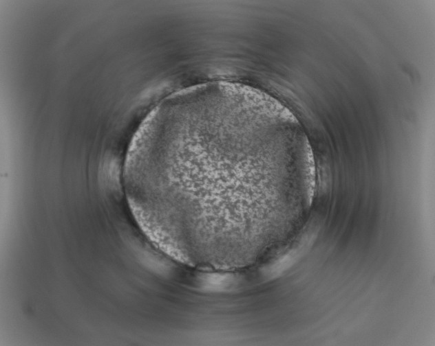 X0000113240575200910011328