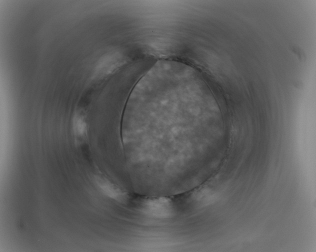 X0000113240576200910011328