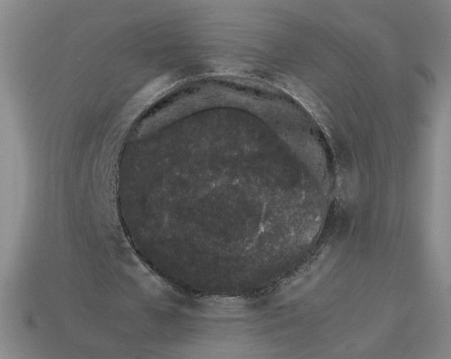 X0000113240577200910011328