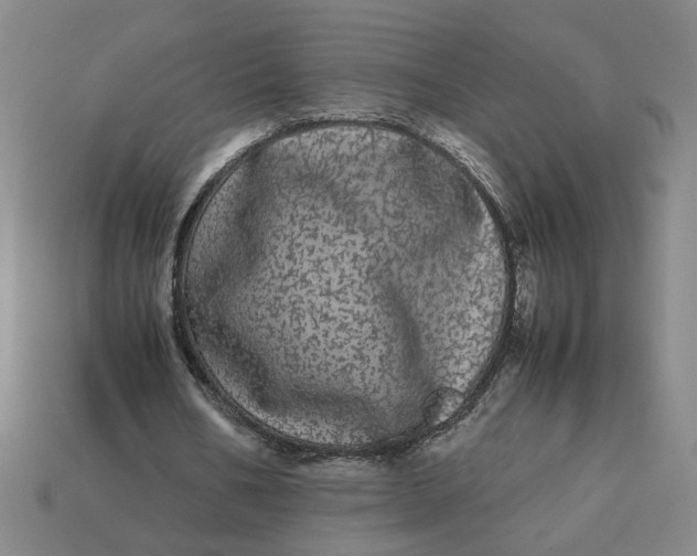 X0000113240578200910011328