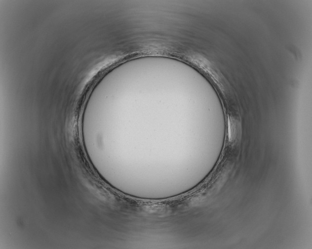 X0000113240579200910011328