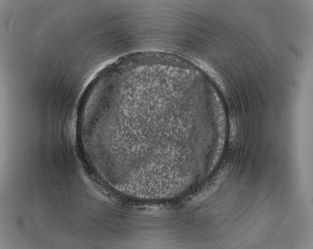 X0000113240580200910011328