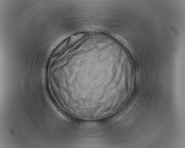 X0000113240581200910011328