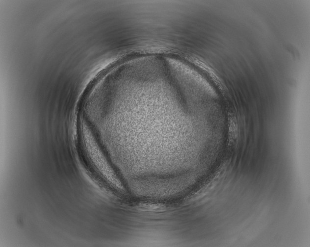 X0000113240582200910011328