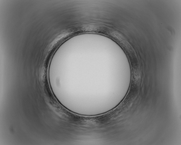 X0000113240583200910011328