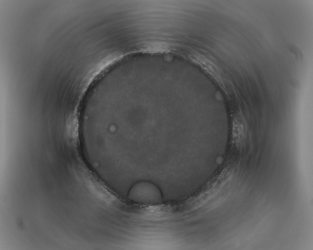 X0000113240584200910011328