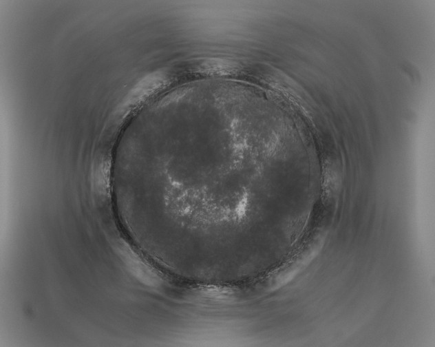 X0000113240585200910011328