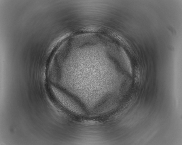 X0000113240586200910011327