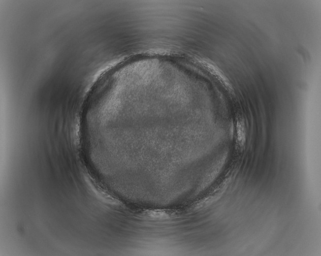 X0000113240588200910011327