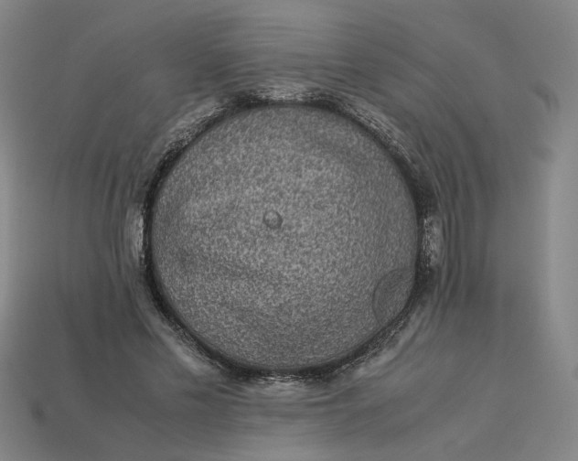 X0000113240589200910011327