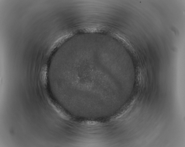 X0000113240590200910011327