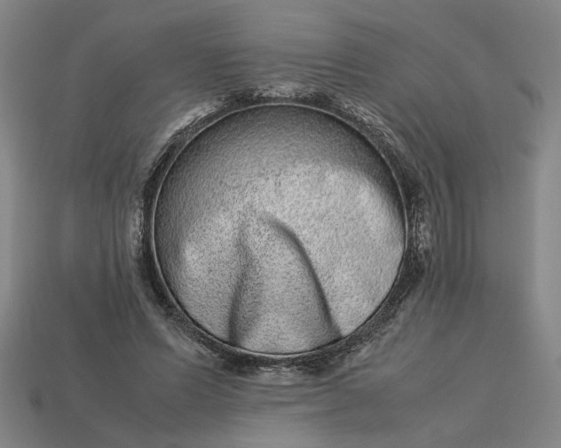 X0000113240591200910011327