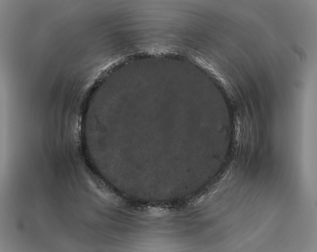 X0000113240592200910011327