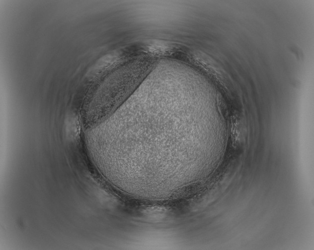 X0000113240593200910011327