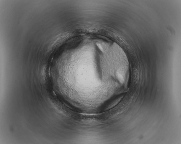 X0000113240594200910011327