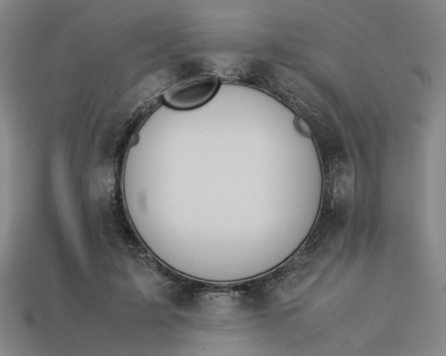 X0000113240595200910011327