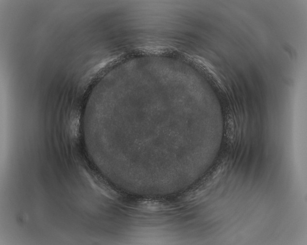 X0000113240596200910011327