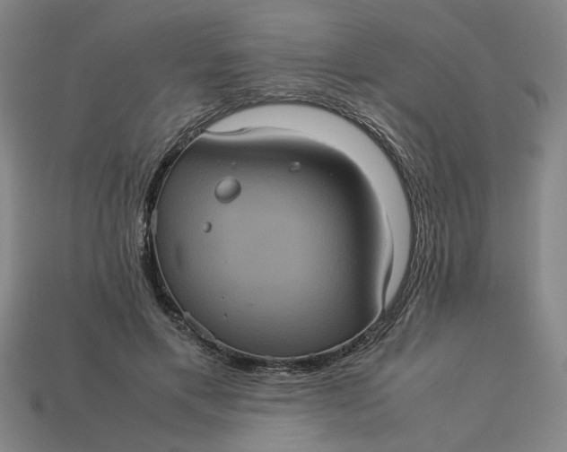 X0000113240597200910011327