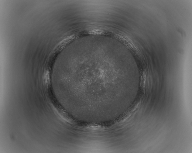 X0000113240598200910011327