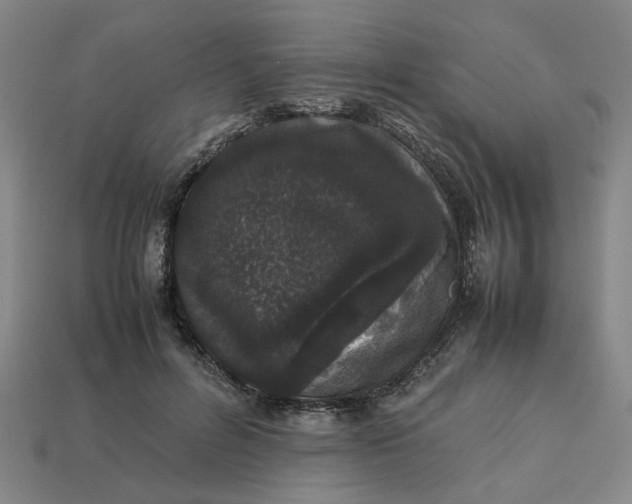 X0000113240600200910011327