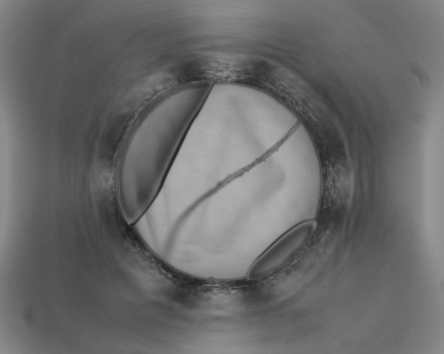 X0000113240601200910011327