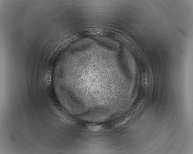 X0000113240602200910011327