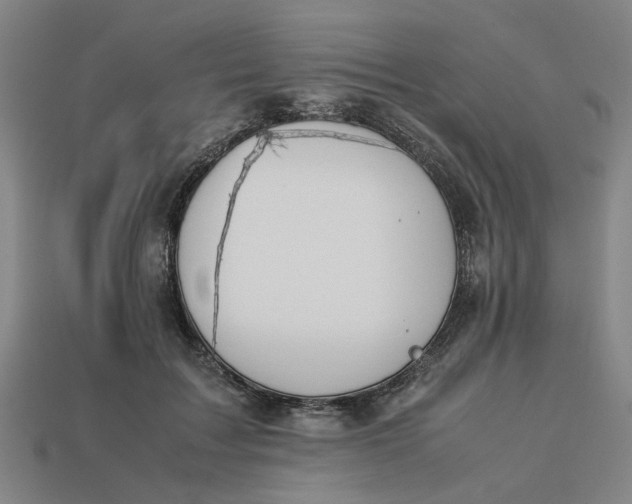 X0000113240603200910011327