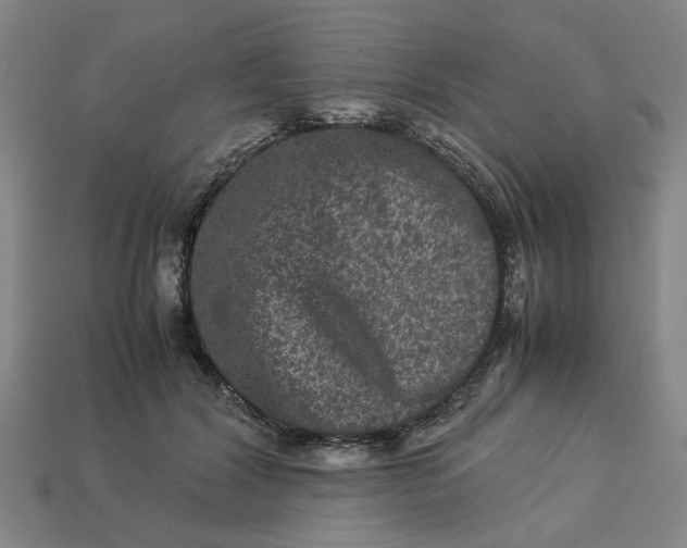 X0000113240604200910011327