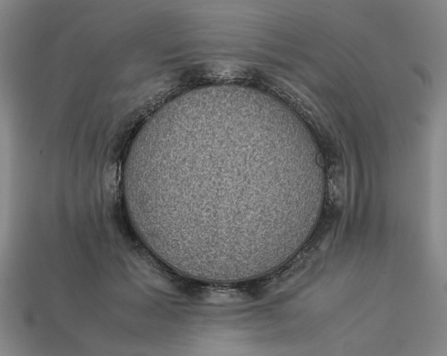 X0000113240605200910011327