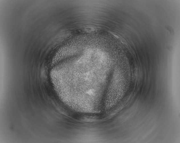 X0000113240606200910011327