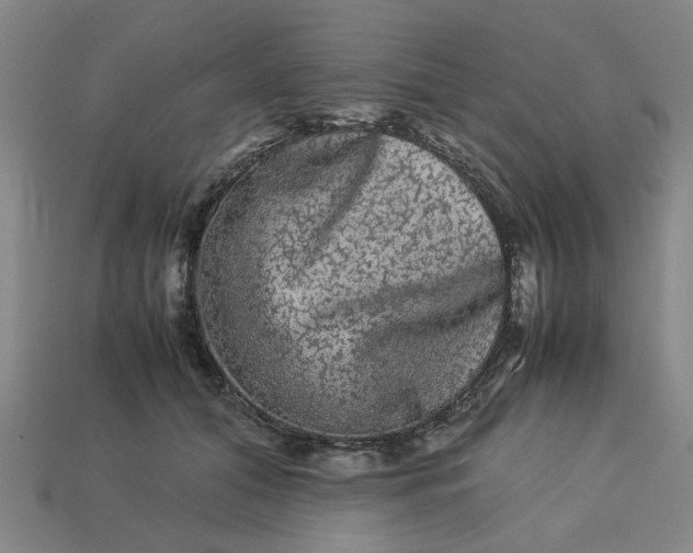 X0000113240608200910011327