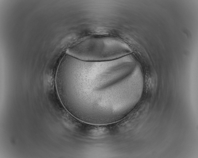 X0000113240609200910011327