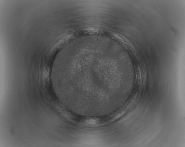 X0000113240610200910011327