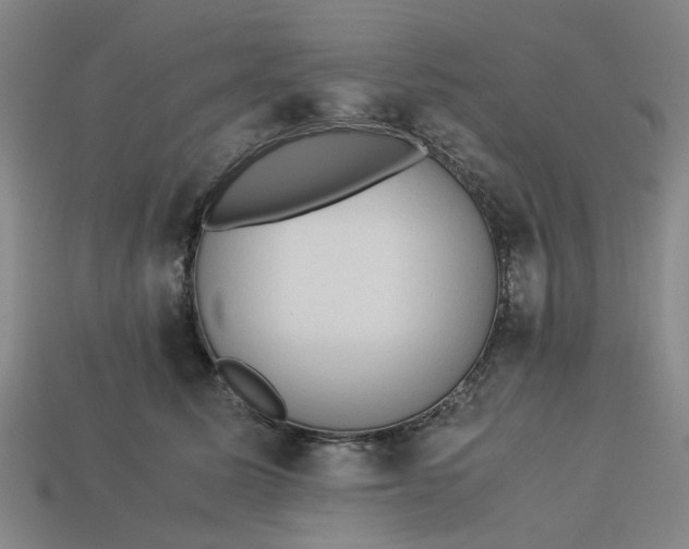 X0000113240611200910011327