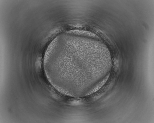 X0000113240612200910011327