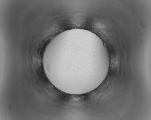 X0000113240613200910011327