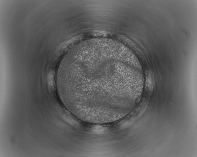 X0000113240616200910011327