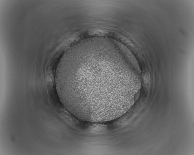 X0000113240617200910011327