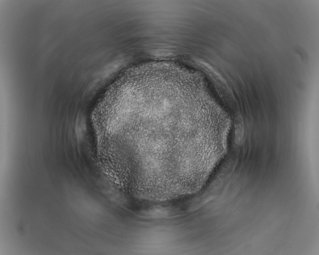 X0000113240618200910011327