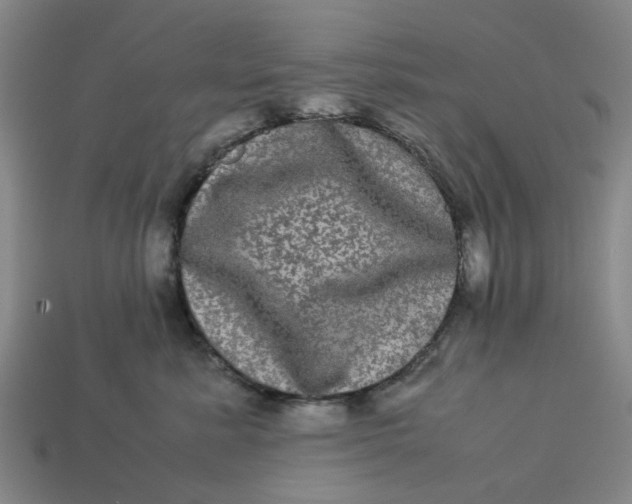 X0000113240619200910011327