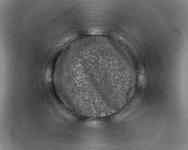 X0000113240620200910011327